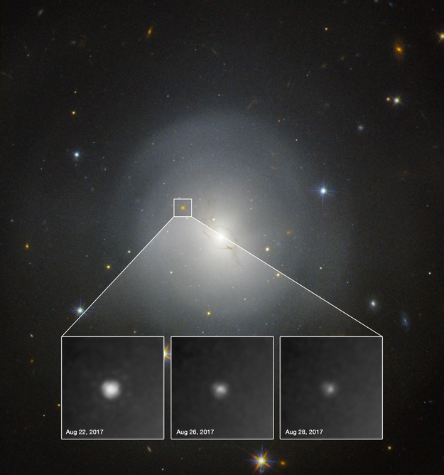 Kilonowa w NGC4993